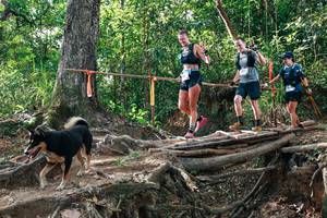 BIB: 
                            <button type="button" onclick="openModal(27555633)" class="btn btn-primary btn-sm float-right btn-popup" data-toggle="modal" data-target=".modal-high-quality">
                        <i class="fas fa-shopping-cart"></i> Add to Cart
                    </button>
                                            <button type="button" onclick="isThisMe(27555633, true)" class="btn btn-success btn-sm float-right btn-popup btn-isme hidden" data-toggle="tooltip" data-placement="bottom" title="นี่คือรูปของคุณใช่ไหม คลิกที่นี่เพื่อเอาเข้าอัลบั้ม">
                        <i class="fas fa-plus"></i> Add to album
                    </button>
                    <button type="button" onclick="isThisMe(27555633, false)" class="btn btn-warning btn-sm float-right btn-popup btn-isnotme hidden">
                        <i class="fas fa-ban"></i> Remove from album
                    </button>